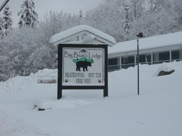 Big Bears Lodge image 1