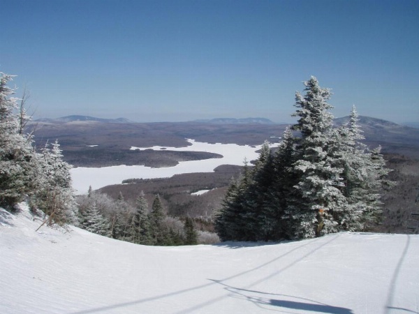 Big Bears Lodge image 9